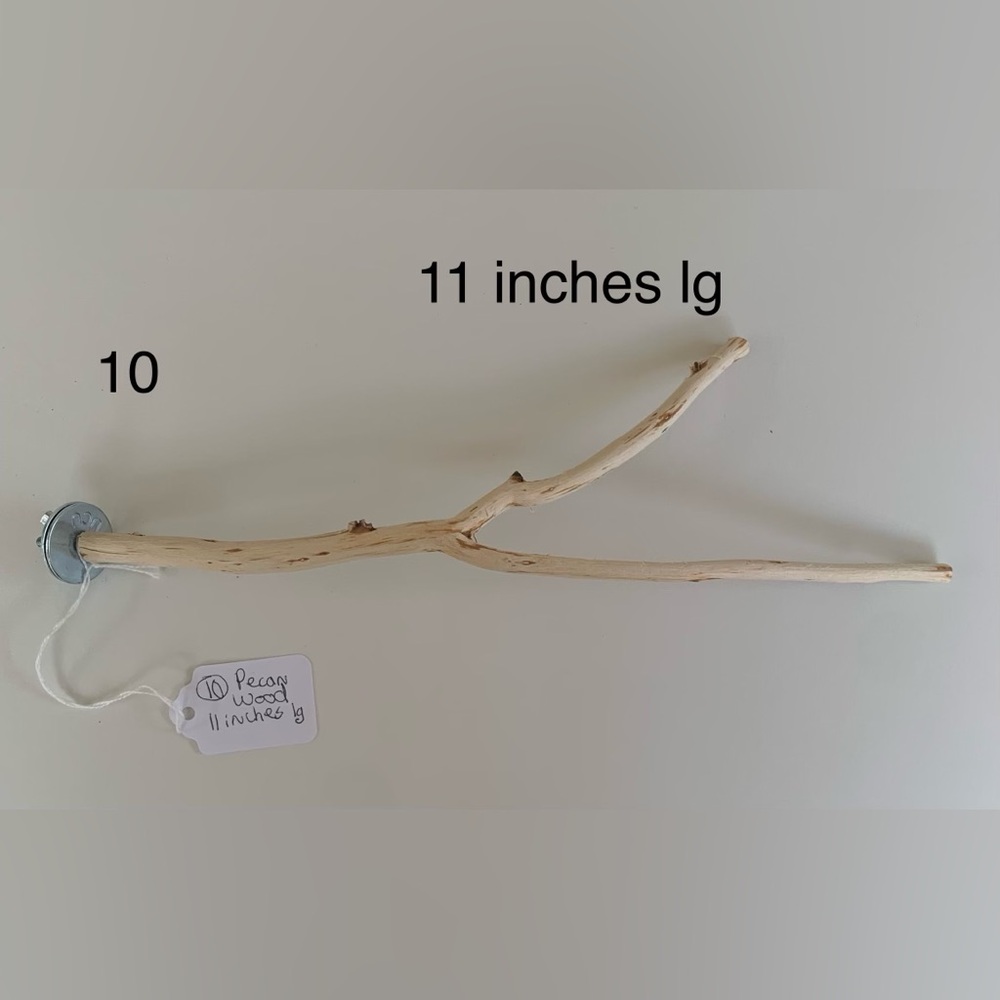 Pecan wood parrot perch 11 inches long